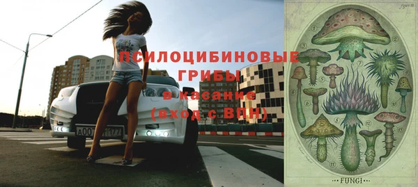 мдма Новодвинск