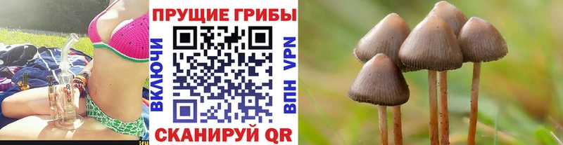 Галлюциногенные грибы Psilocybe где можно купить наркотик Инта