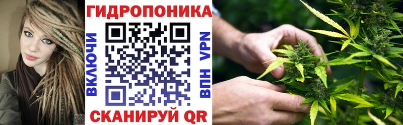 Каннабис ГИДРОПОН  это клад  Инта  дарнет шоп 